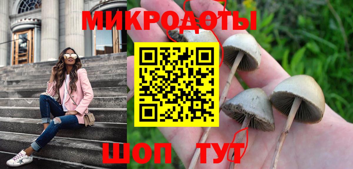 Галлюциногенные грибы мухоморы  Галлюциногенные грибы Psilocybe  Вход с VPN  Петропавловск-Камчатский 