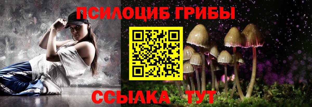Галлюциногенные грибы Cubensis Петропавловск-Камчатский